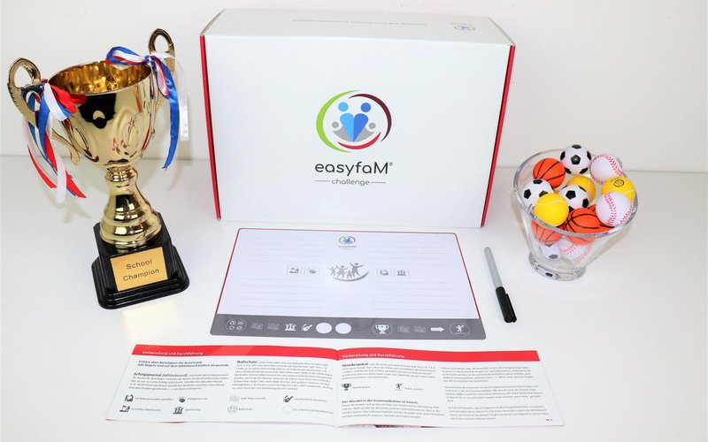 Ein goldener Pokal, eine Spielanleitung, ein Set kleiner Sportbälle und eine Box mit dem Logo "easyfaM challenge".